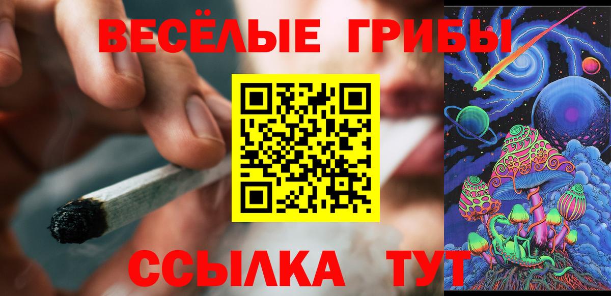 цены наркотик  Псилоцибиновые грибы Magic Shrooms  Вход с VPN  Люберцы 